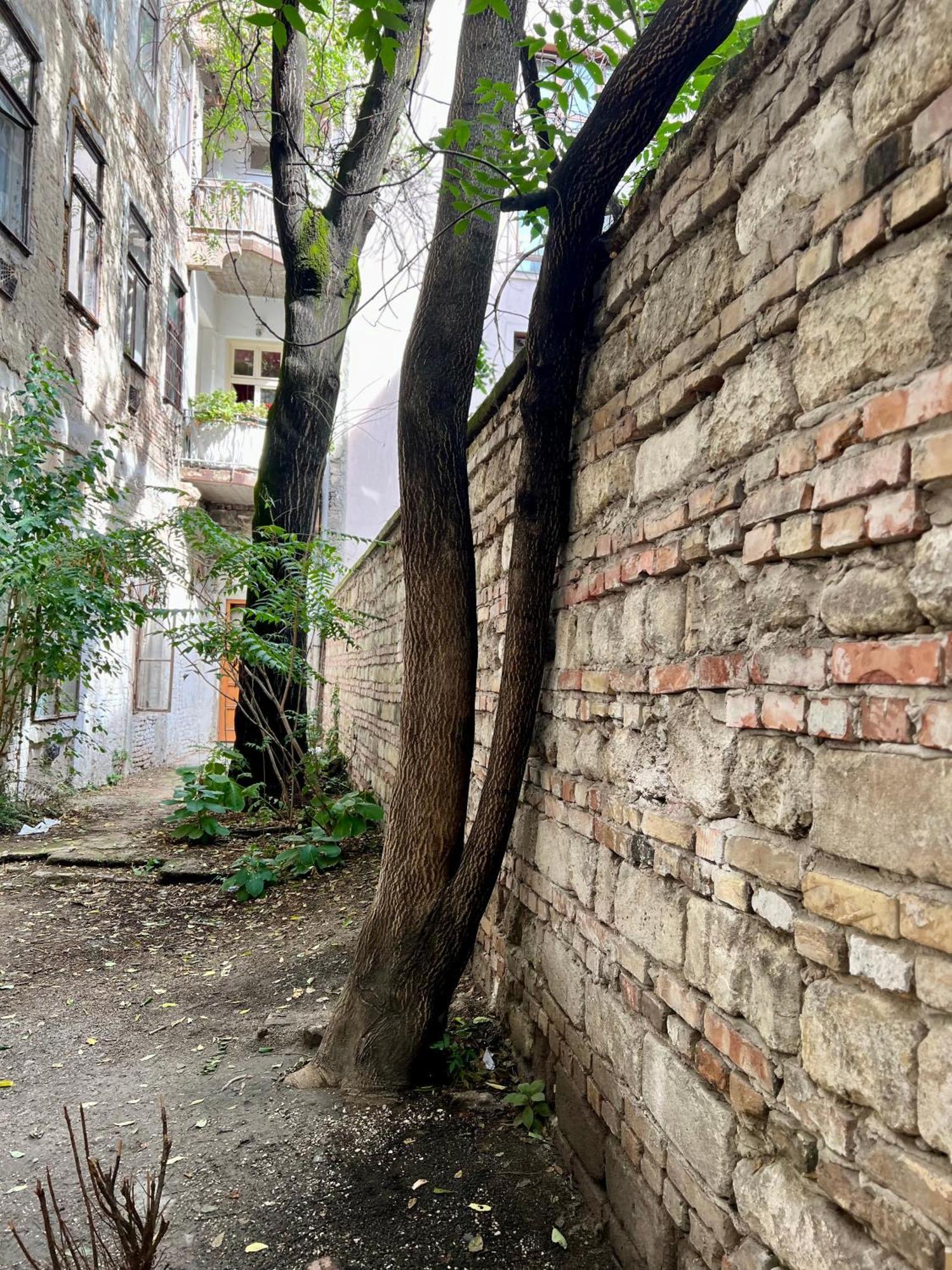 Gozsdu Court Bismarck Apartment Budapest Luaran gambar